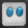 Coppia Pietre di Turchese Stabilizzato 12,59 Ct.