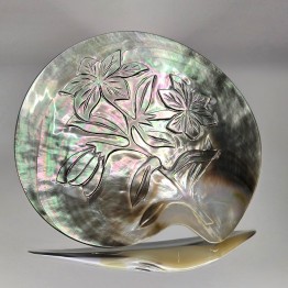 Conchiglia Pinctada Margaritifera 12x11 cm