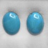Pair Oval stabilized turquoise stones 11.89 ct.