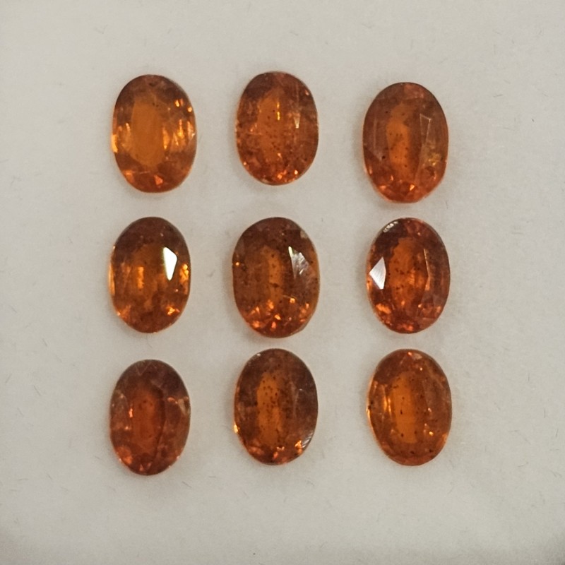 Offerta Lotto 9 Pietre di Cianite Ovali Ct. 8,95