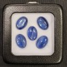 Offerta Lotto 5 Pietre di Cianite Ovali Ct. 29,28
