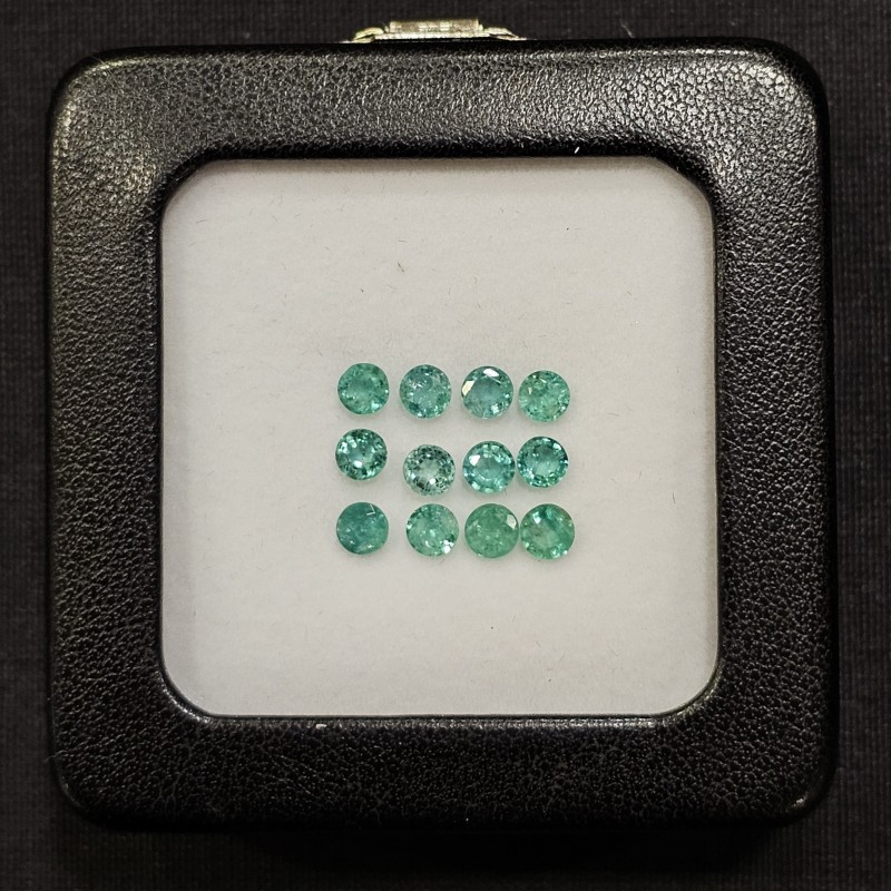 Offerta Lotto 12 Pietre di Smeraldo Rotondo 2,54 Ct.