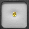 Pietra di Zaffiro Giallo Ovale 1,26 Ct.