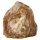 Il fascino del legno fossile o legno pietrificato: una pietra con una storia lunga